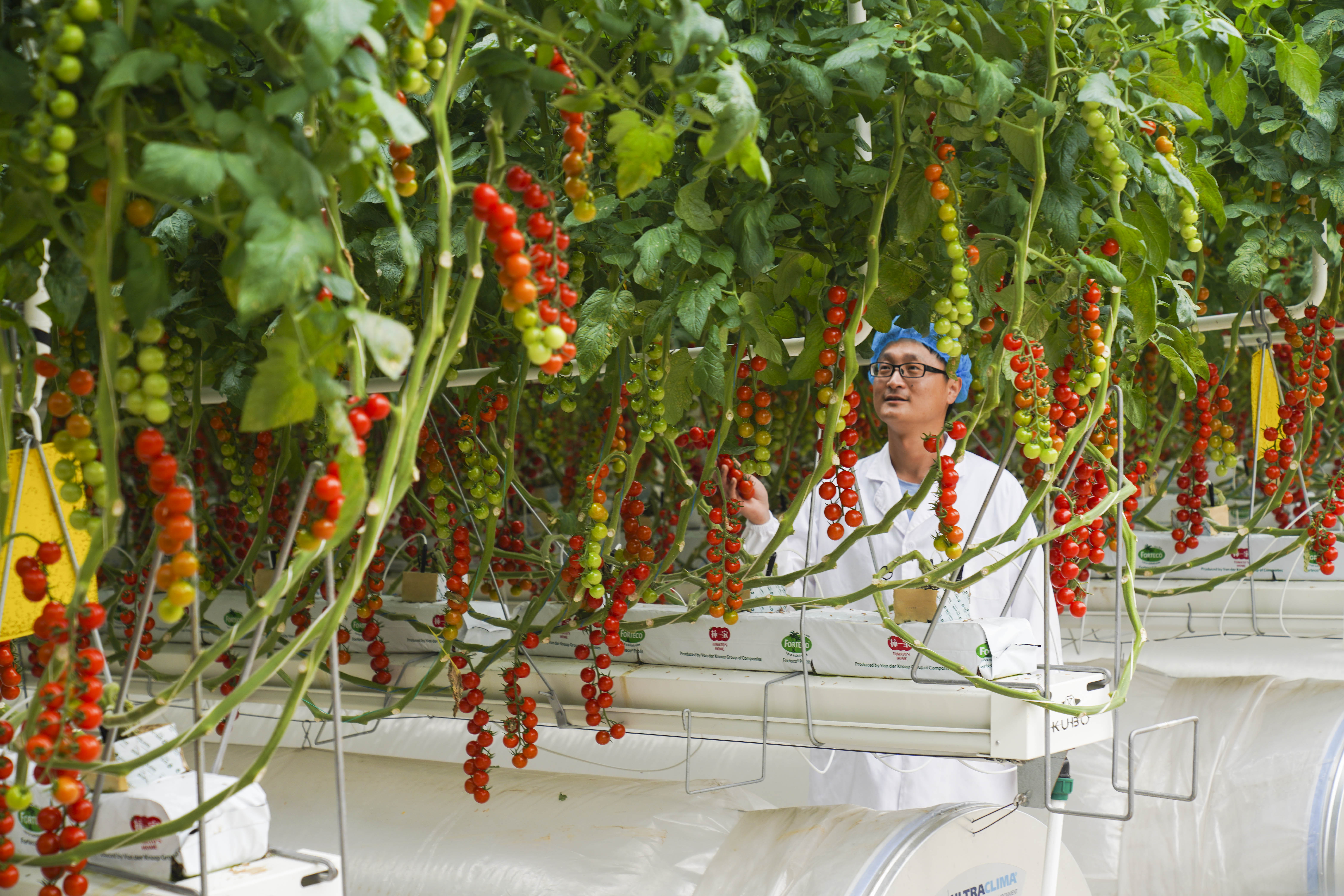 新华全媒+·镜头微观察丨海南自贸港:政策创新赋能产业发展