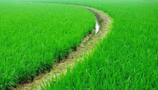 五部门出台意见 健全横向生态保护补偿机制