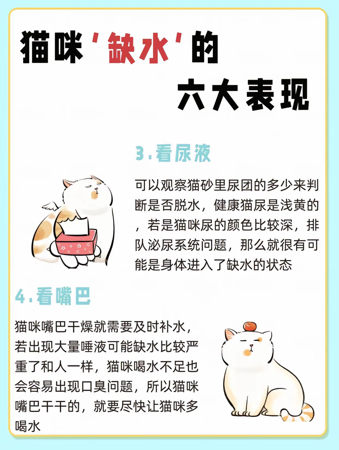 新华视点·关注宠物经济|宠物医疗为何频现“糊涂账”?