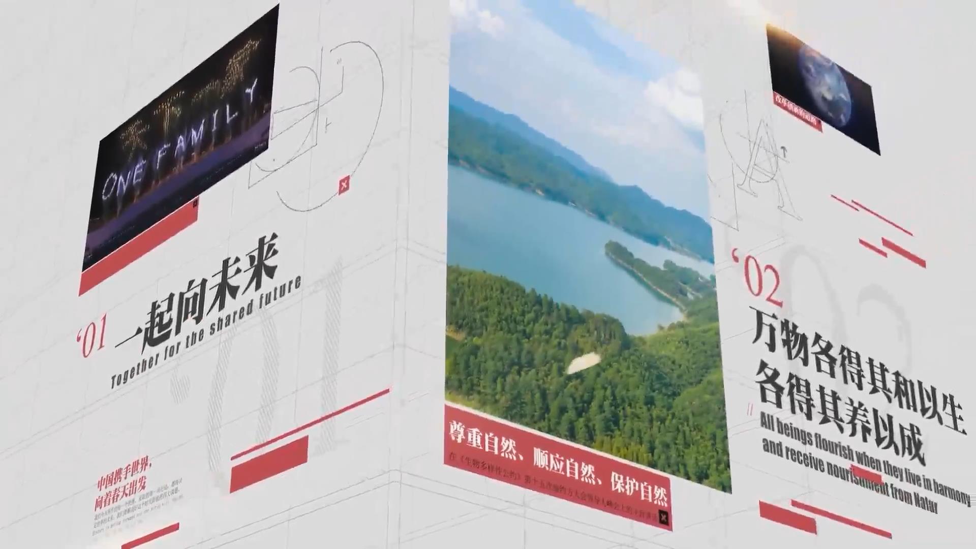 总书记关心的世界文化遗产丨海丝起点通天下