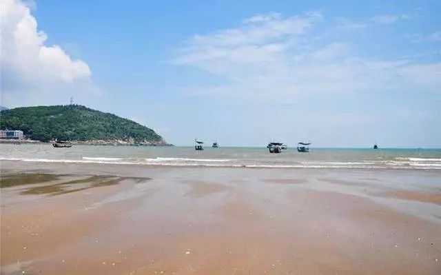 闽企勇闯天涯启示录：从“制造出海”到“质造领航”