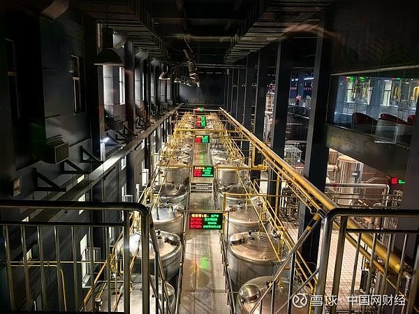 实探东阿阿胶生产一线：解码老字号的“数智密码”