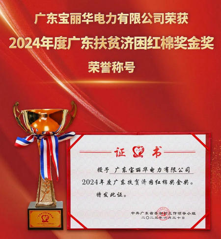 宝新能源：全资子公司宝丽华电力获评广东扶贫济困红棉奖金奖