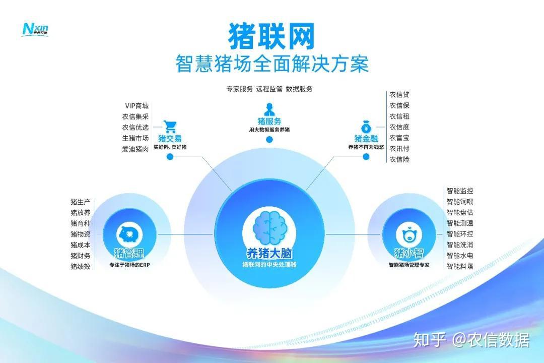 纯苯衍生品工具破局 产业链风险管理迈向精细化时代