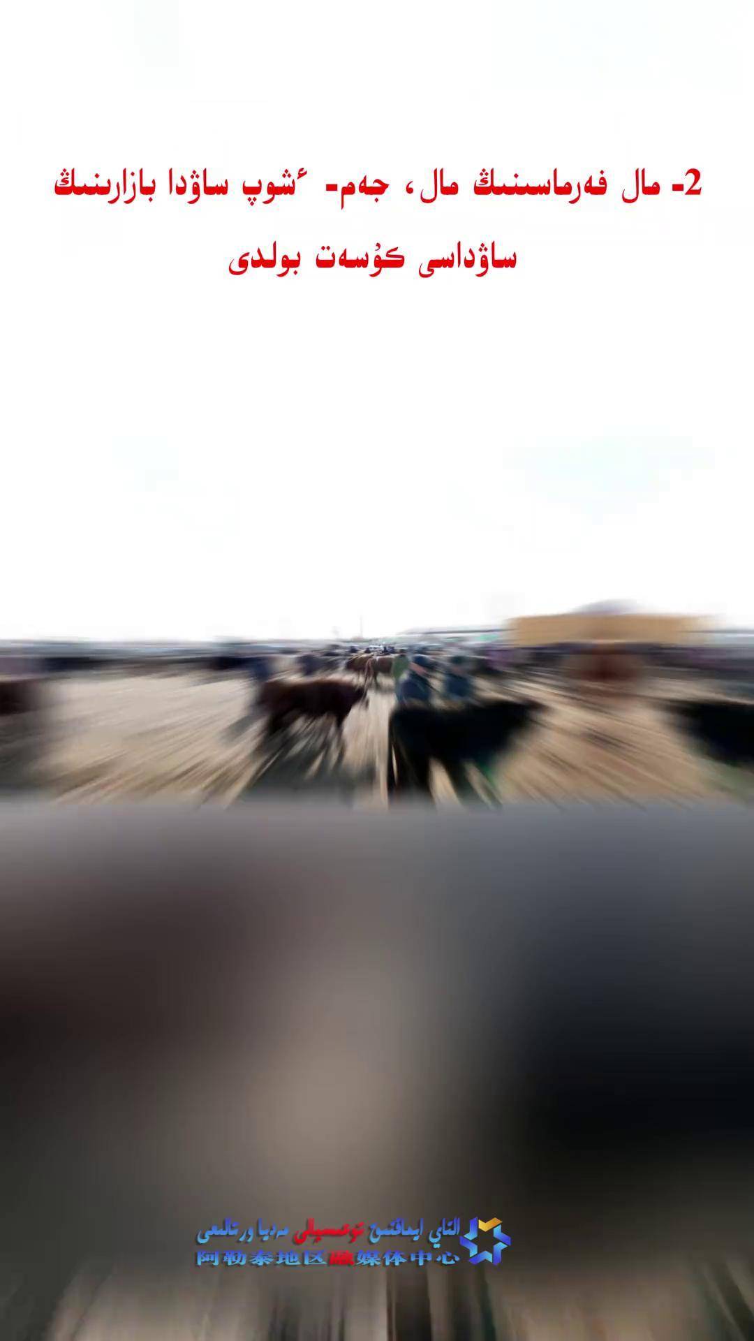 夏粮市场购销两旺 粮企积极入市兜牢“种粮卖得出”底线