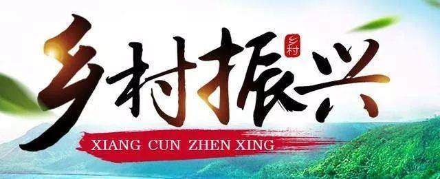 中国平安：将积极践行企业社会责任 助力乡村教育振兴发展