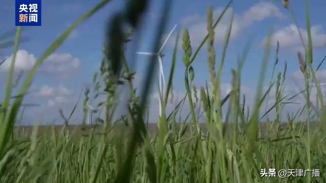 “大而美”法案恐拖累美国能源转型