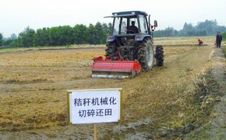 我国力争到2030年奶业现代化水平得到全面提升