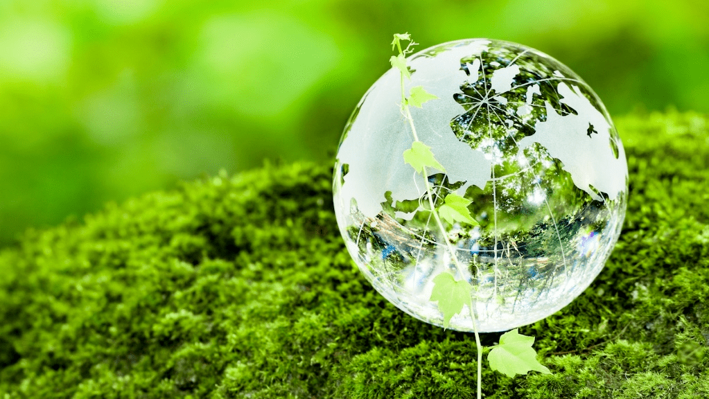 欧洲投资银行将为欧盟绿色转型提供融资支持