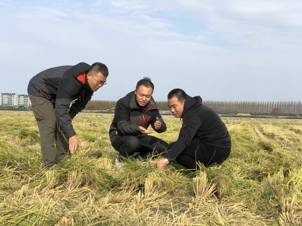 习近平总书记关切事|幸福生活像花儿一样——把地方特色产业做优做强之二