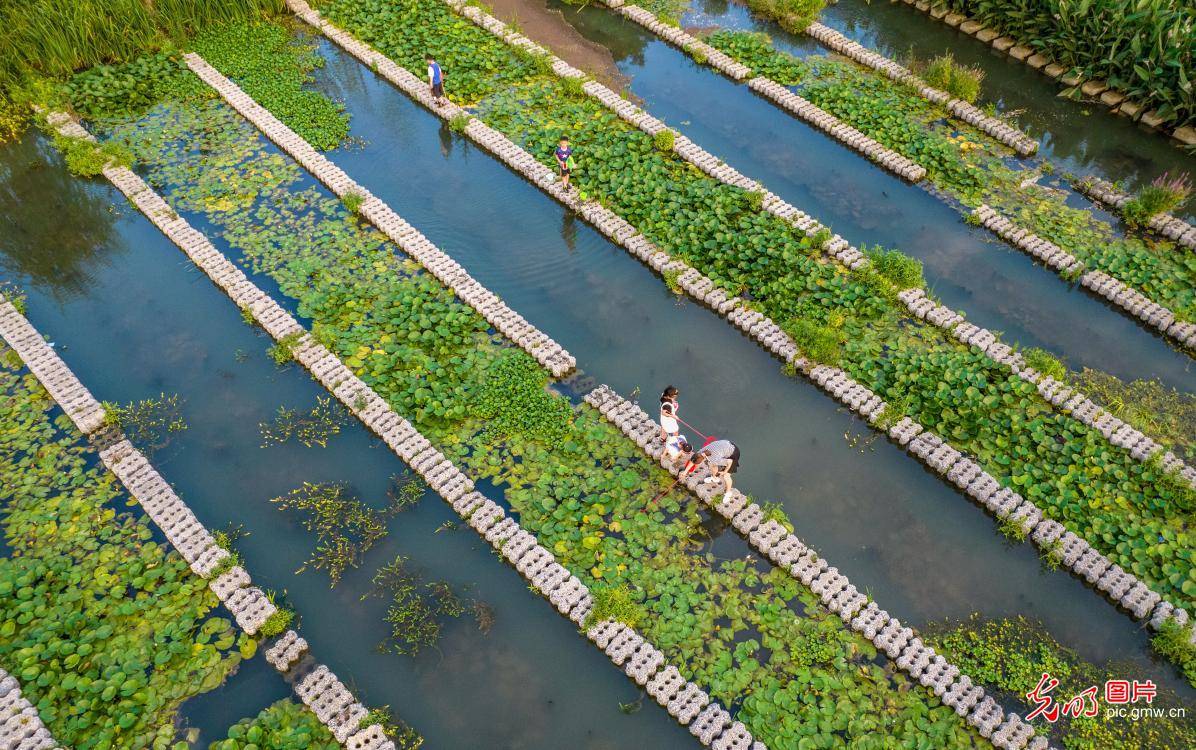 海浪发电、废塑成衣、污水变湿地：中国沿海省份的生态经济密码