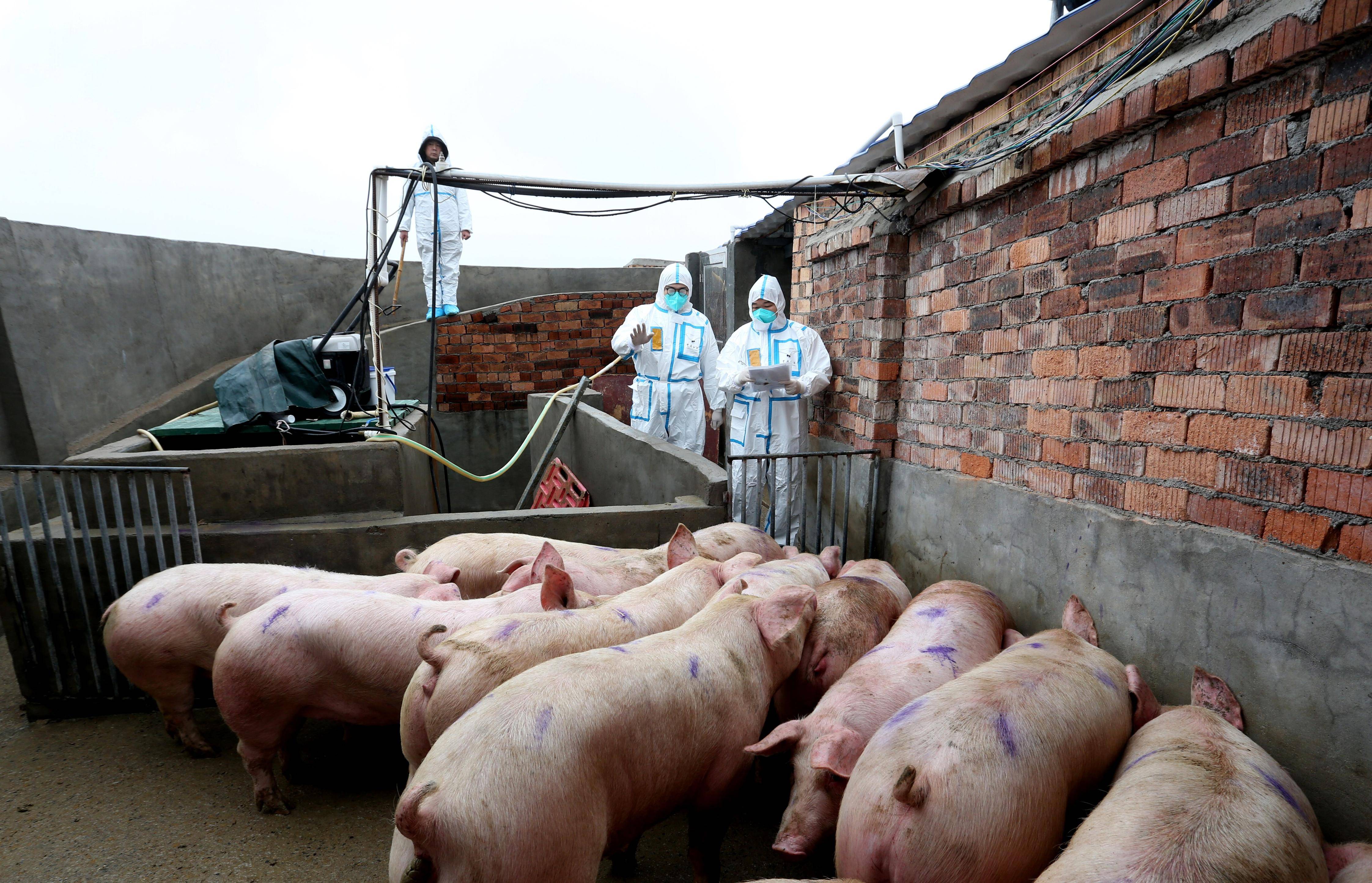 多家养殖上市公司前7个月出栏总量同比增加