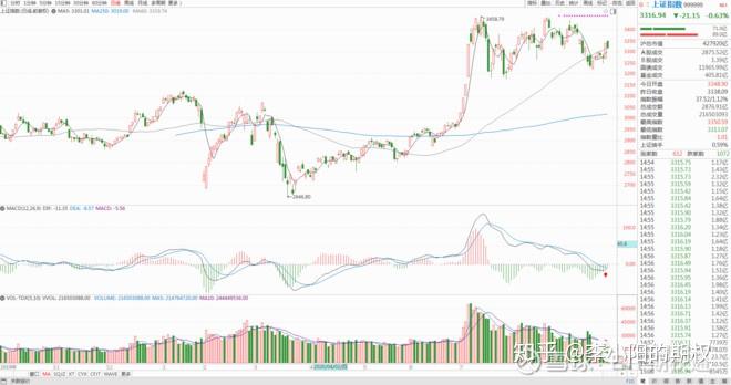 7月沪市期权成交放量近五成