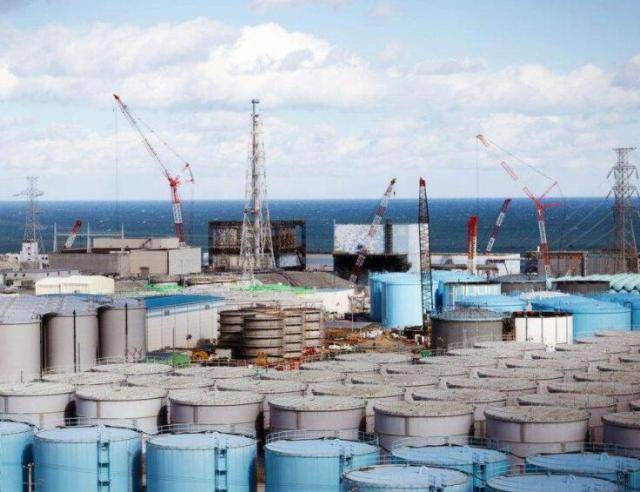 东北亚各国代表呼吁加强合作 推动共同繁荣