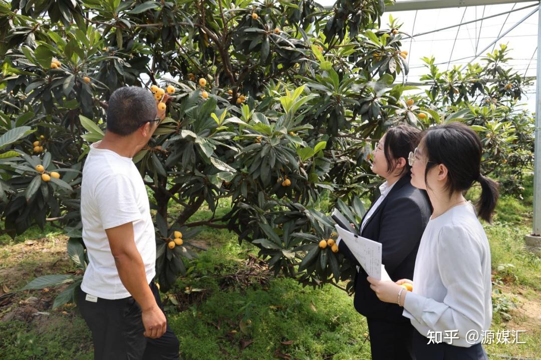 森源电气：上半年营收净利双增