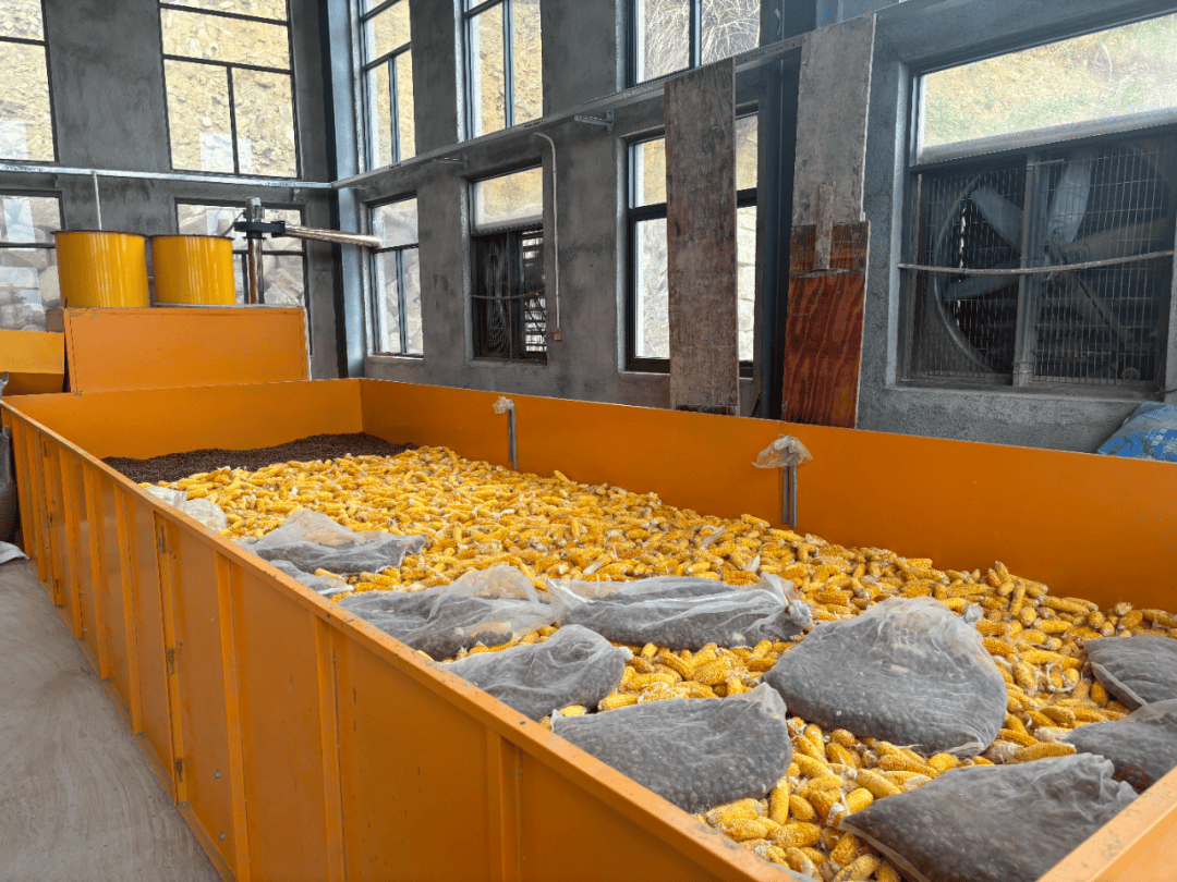 宿迁市宿城区王官集镇：以“渔”为媒 激活乡村振兴新动能