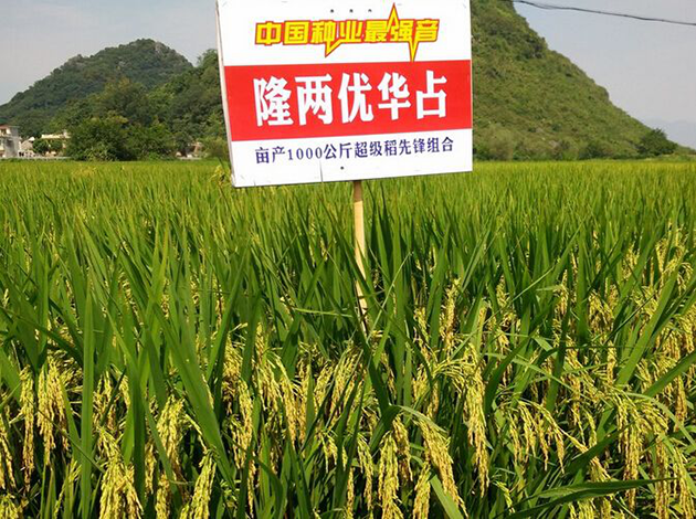 隆平高科荣获“中国质量奖”