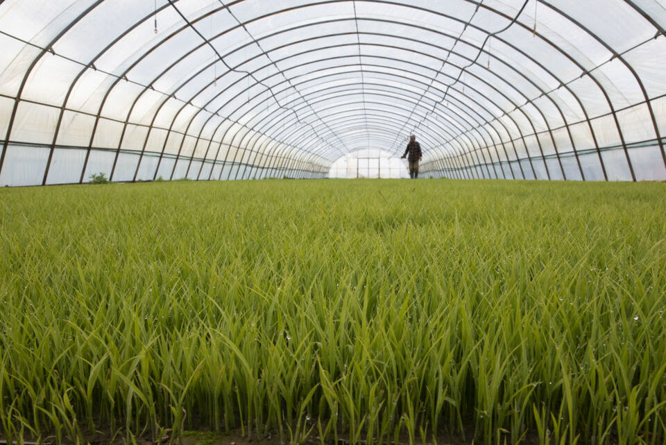 习近平总书记关切事丨东北抗联精神历久弥新凝聚力量