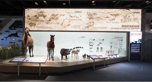 央行张蓓：生物多样性金融标准近期在有能力、有意愿的部分地区启动试用