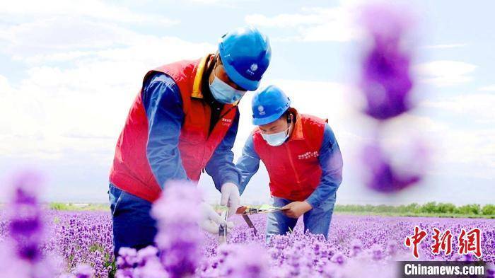 新消费迸发新动能 基金经理深挖潜力赛道