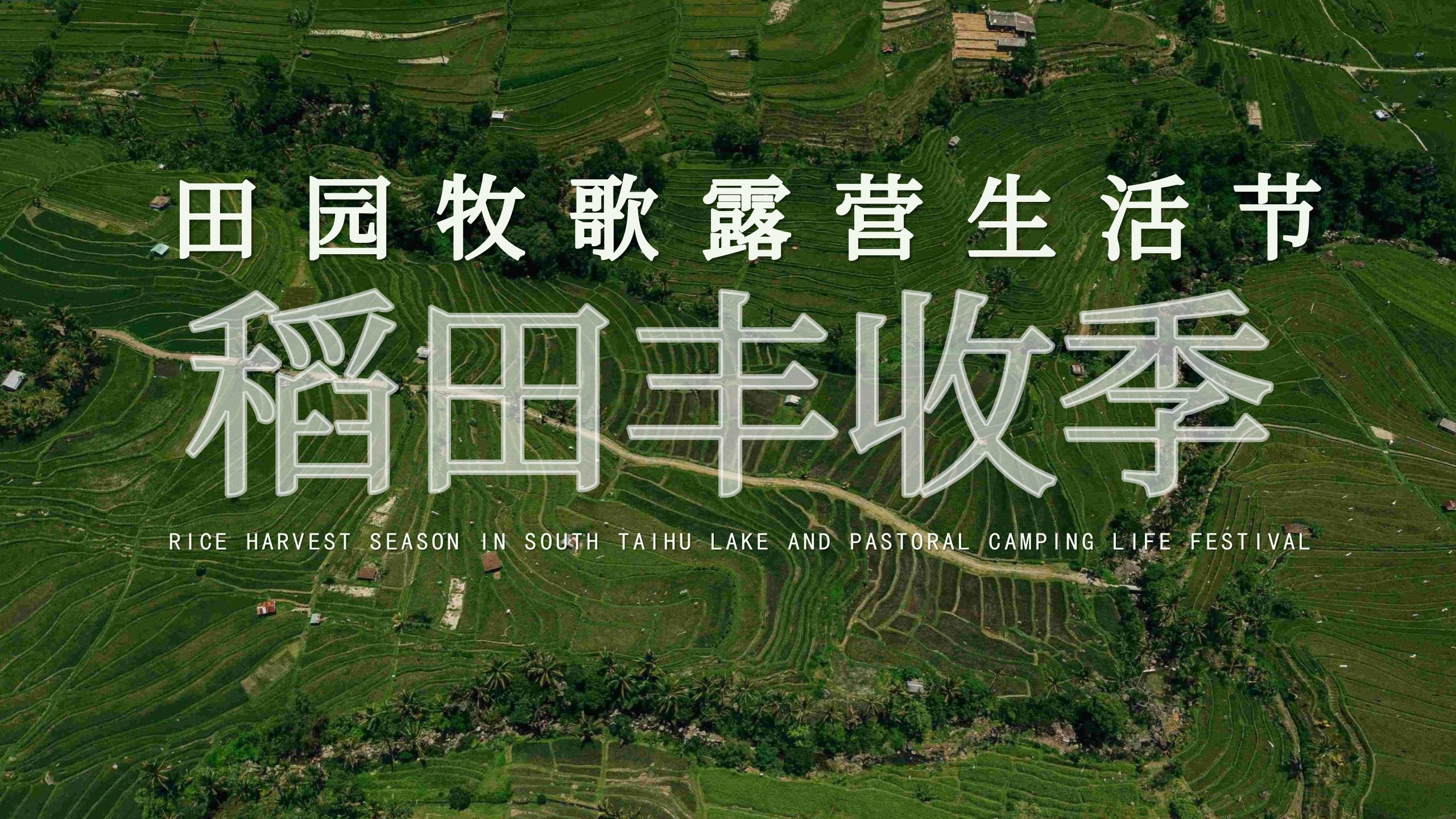 国庆中秋假期市场观察:乡村旅游持续火热 魅力田园活力无限