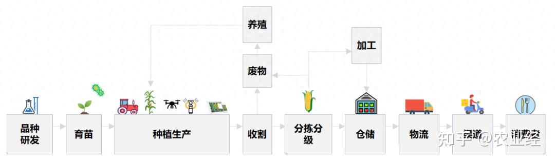 上海:“全链”培育未来产业