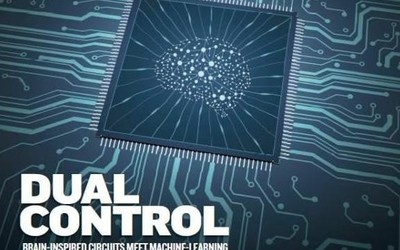 研究人员开发出“类脑”微型流体芯片