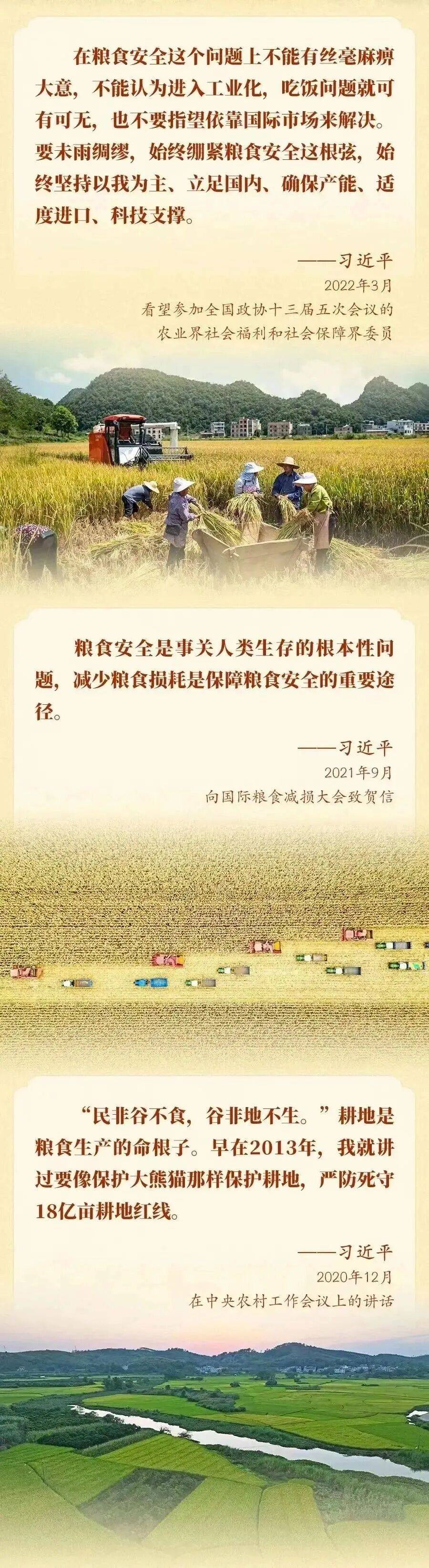 国家粮食和物资储备局：推动粮食价格保持在合理水平
