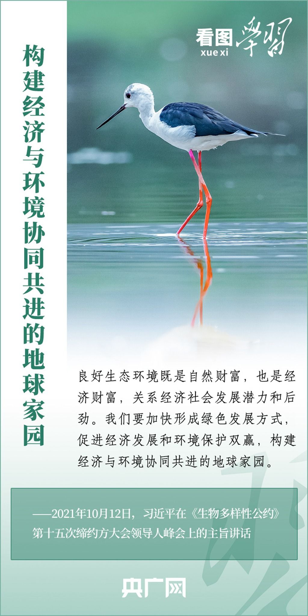领航中国式现代化丨提高党的领导水平和长期执政能力