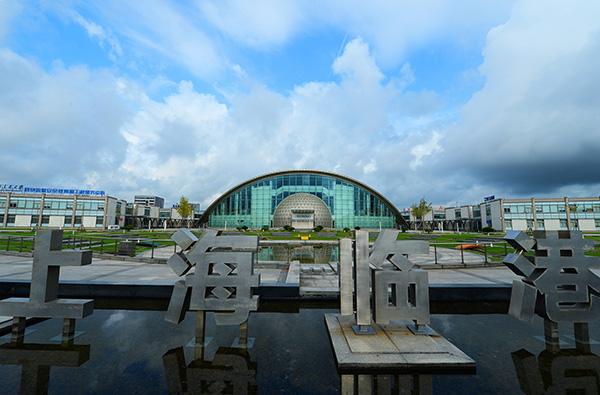 临港新片区：目前已备案非金融类对外直接投资项目超450个