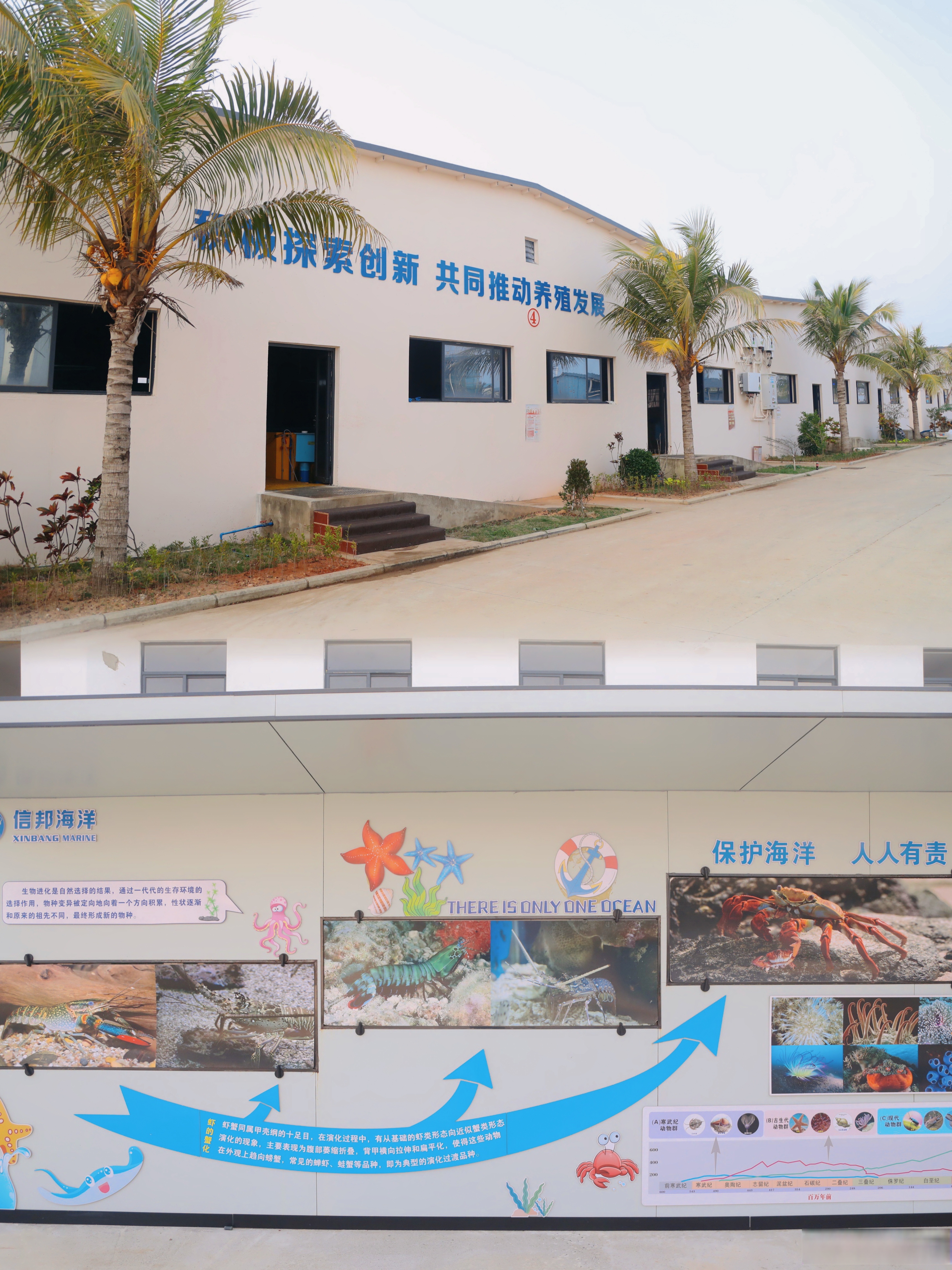 海南机场:前三季营收同比增长6.09% 助力海南自贸港打造国际航空区域门户枢纽