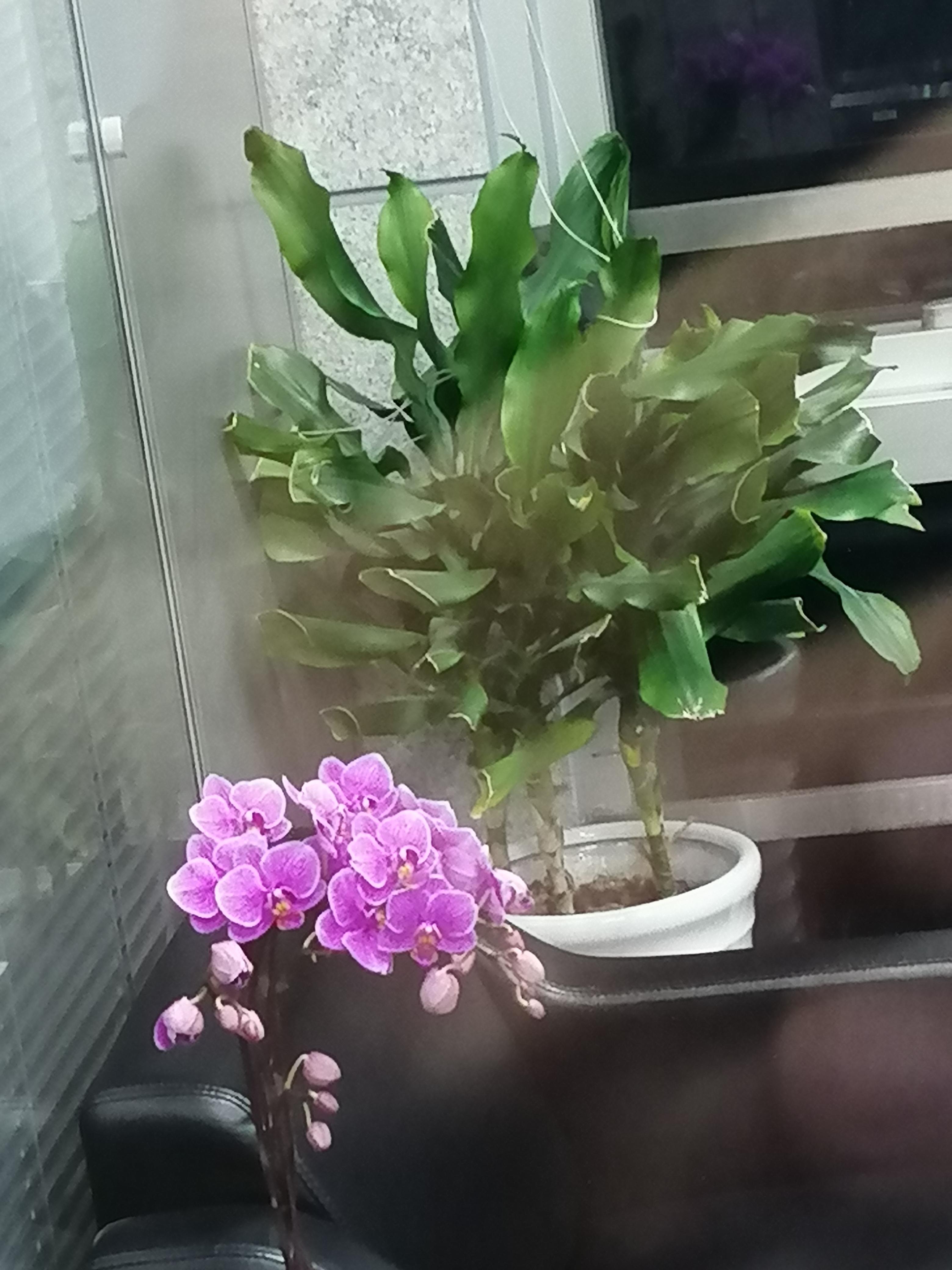 第二届长城证券“烽火杯”私募诚选活动火热开展 十余家百亿级私募机构参与