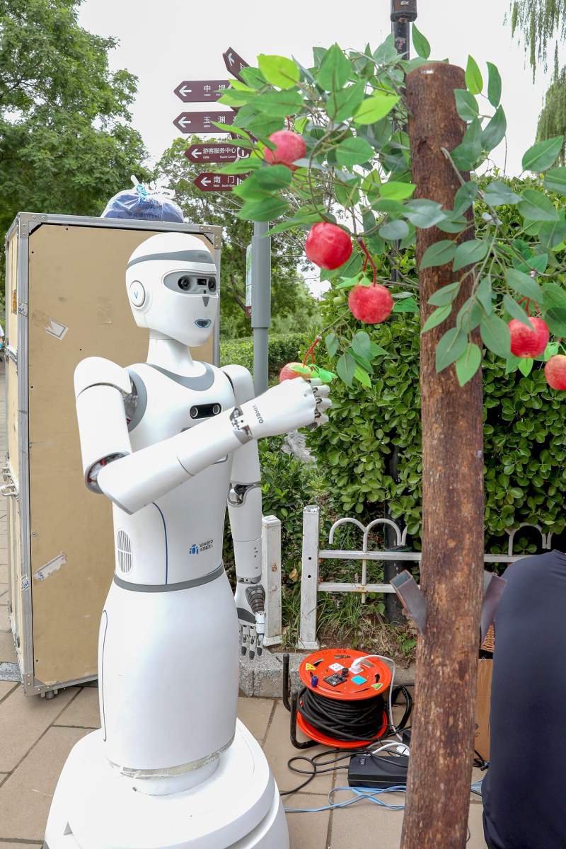 进博会上演“机器人总动员”