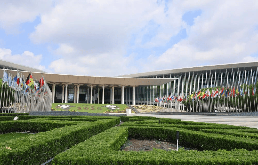 第八届进博会丨最不发达国家展商在进博会上共享中国大市场机遇