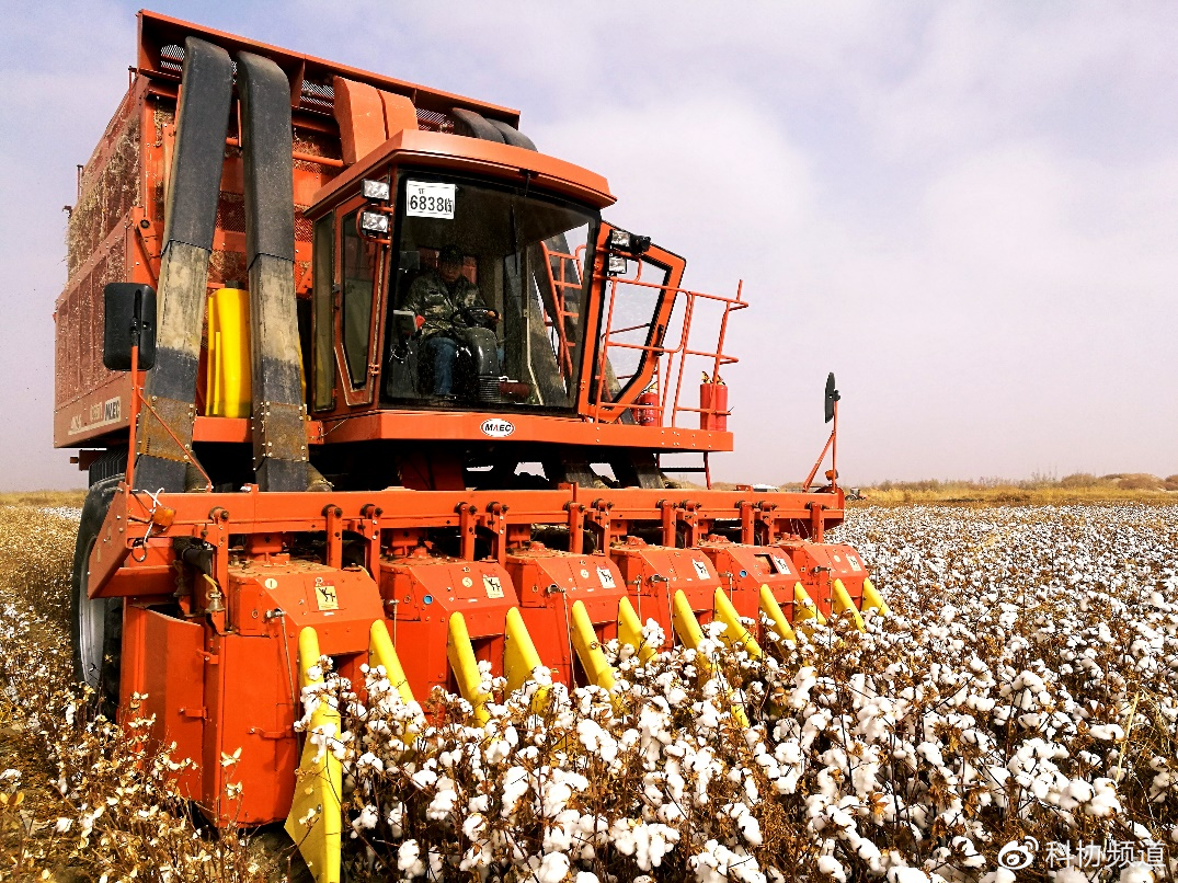 科学选购长绒棉絮用制品 中消协为你支招