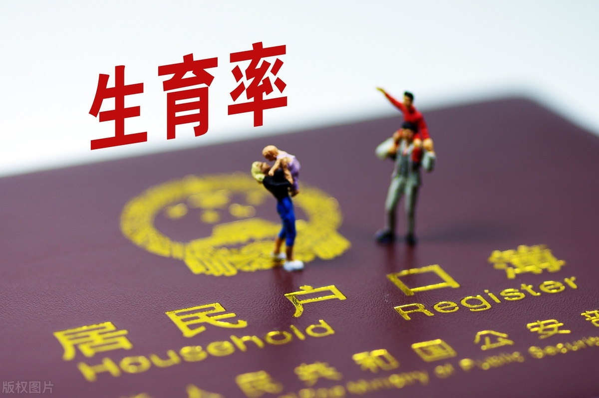 2024年全国政府采购规模超3.3万亿元