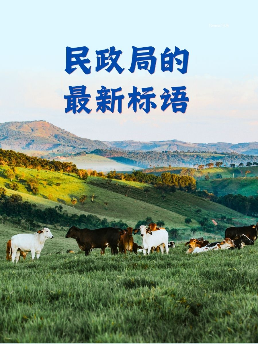 构建更加公正合理的全球治理体系——智库报告解析共建“新型全球领导力”