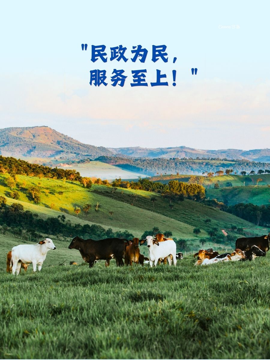 构建更加公正合理的全球治理体系——智库报告解析共建“新型全球领导力”