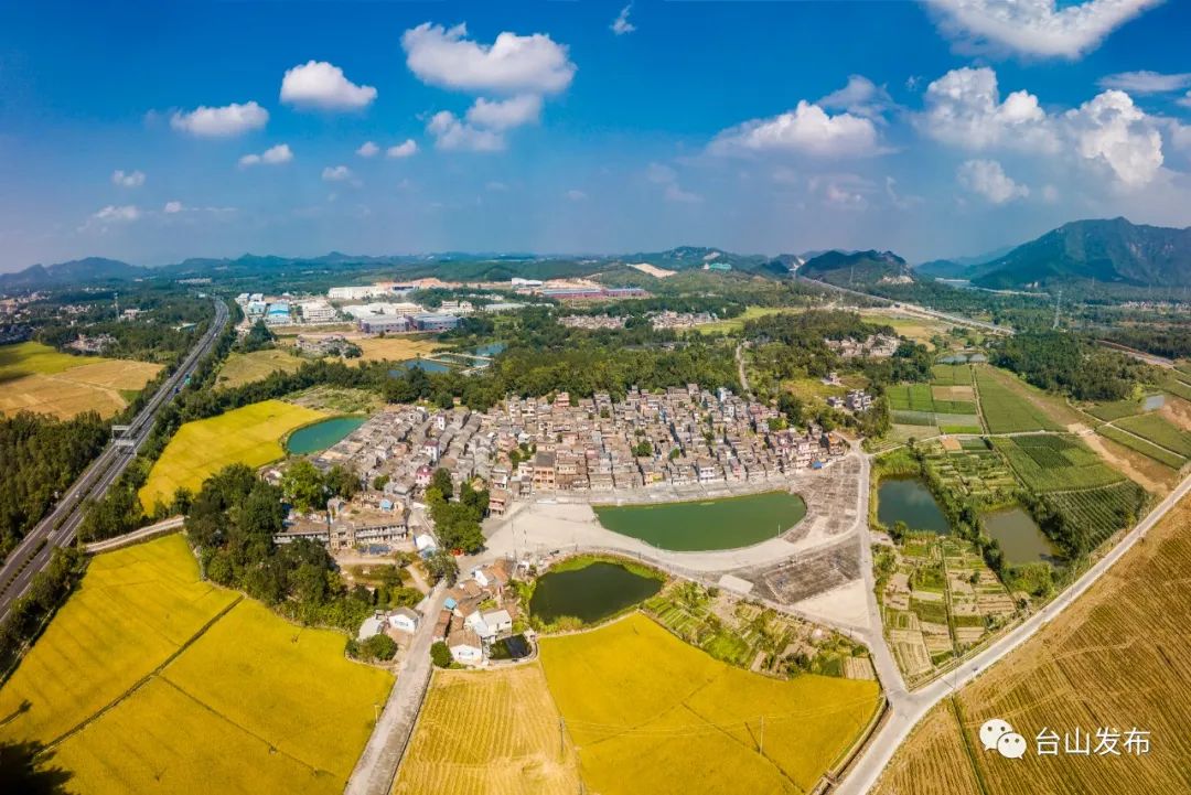 新洁能：从技术破局到生态共赢 为产业升级注入澎湃动能