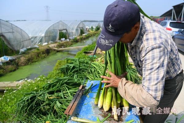 新华鲜报·规划建议新看点丨氢能和核聚变能:“能源新秀”驱动绿色未来