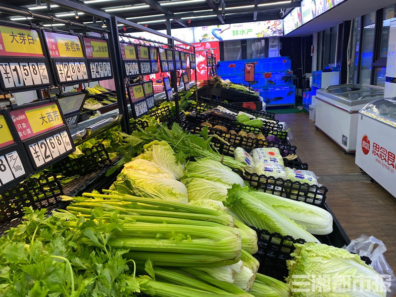 新华鲜报·规划建议新看点丨氢能和核聚变能：“能源新秀”驱动绿色未来