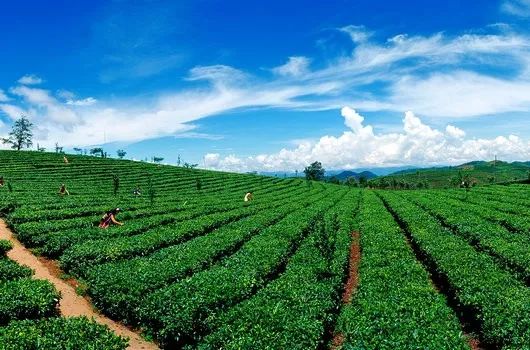 地方积极布局 抢抓中国东盟合作升级机遇——绿色贸易、数字经济等新兴领域潜力巨大