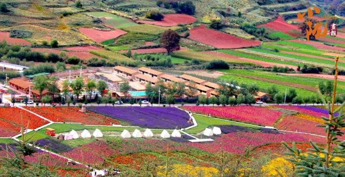 广发证券董事长林传辉：恪守金融报国初心 绘乡村振兴壮丽画卷