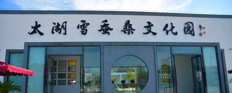 太湖雪：锚定“东绸西固”政策 以创新织就传统丝绸产业升级新路径