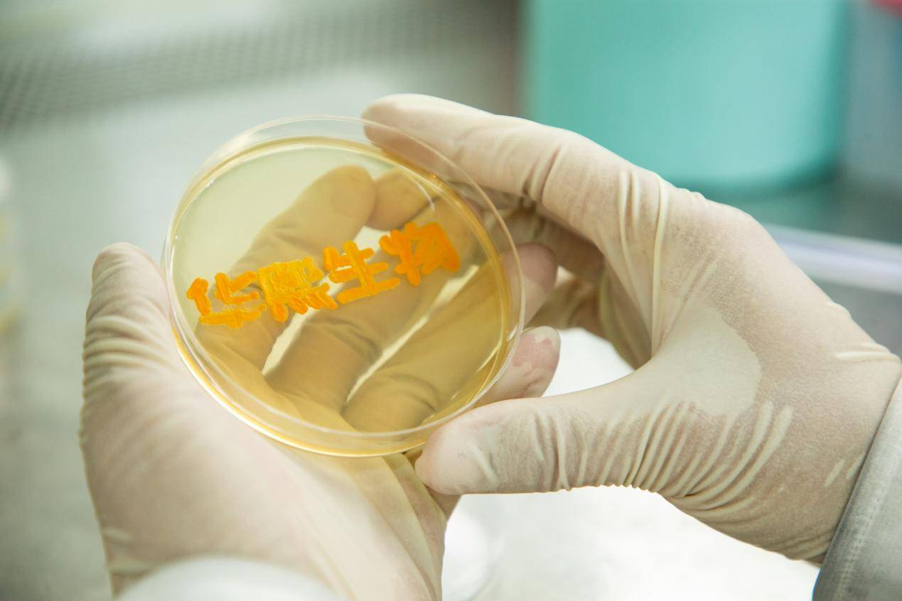 华熙生物荣获“ESG治理金牛奖””