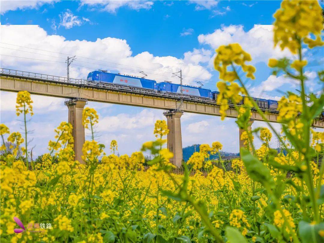 从“昔日马帮铃响”到“今日坦途如歌”——云南交通巨变纪事