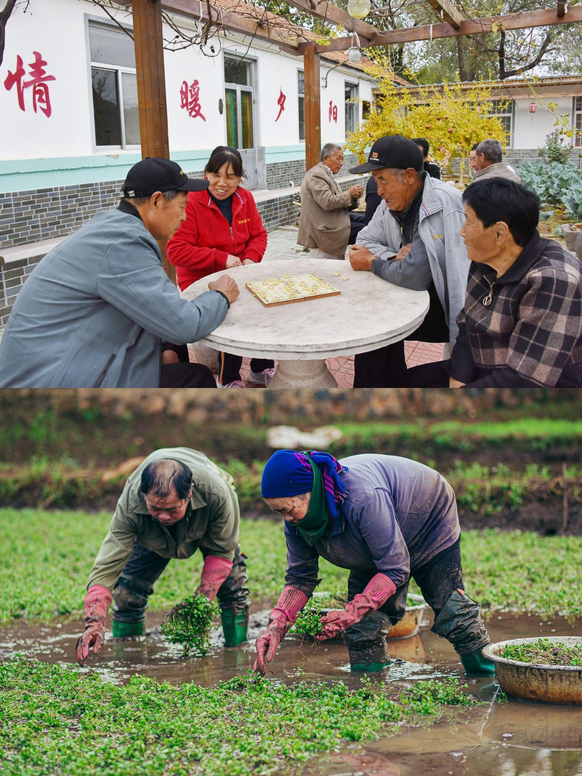 曹德云：建议采取综合措施 稳步扩大养老金资产规模