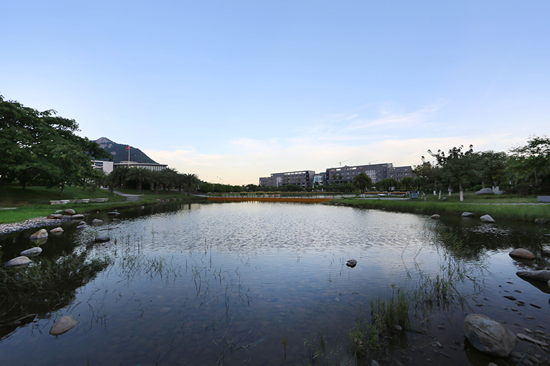 银龙股份:拟更名为“天津银龙集团股份有限公司”