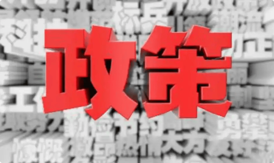 政策红利加速产业升级 开放枢纽赋能“链式出海”