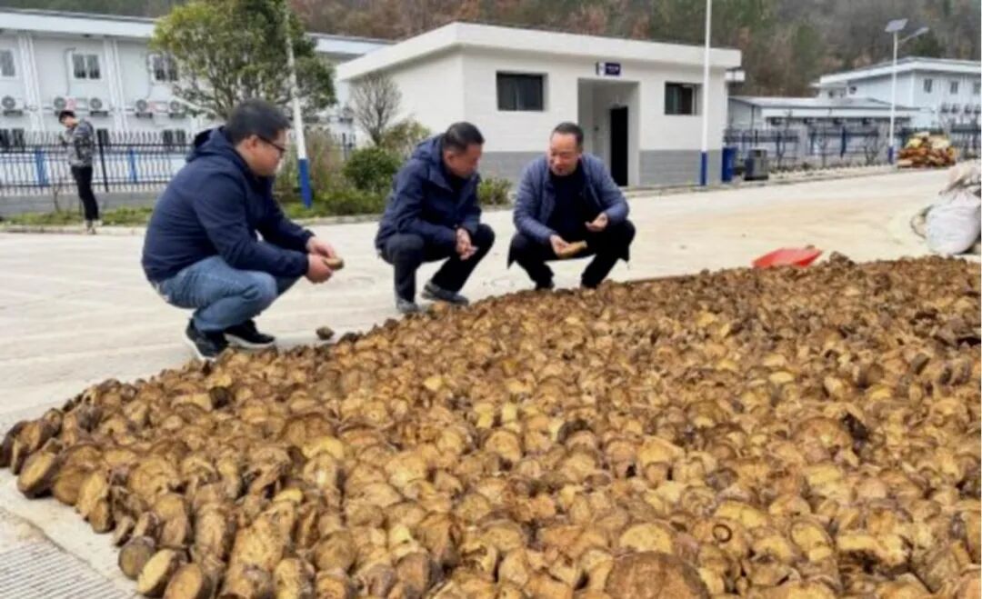 万联证券总裁张毅峰：文化铸魂强根基 实干赋能启新程